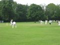 1st XI vs Umpinster